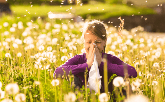 花粉症の言い方と症状と伝える英語表現