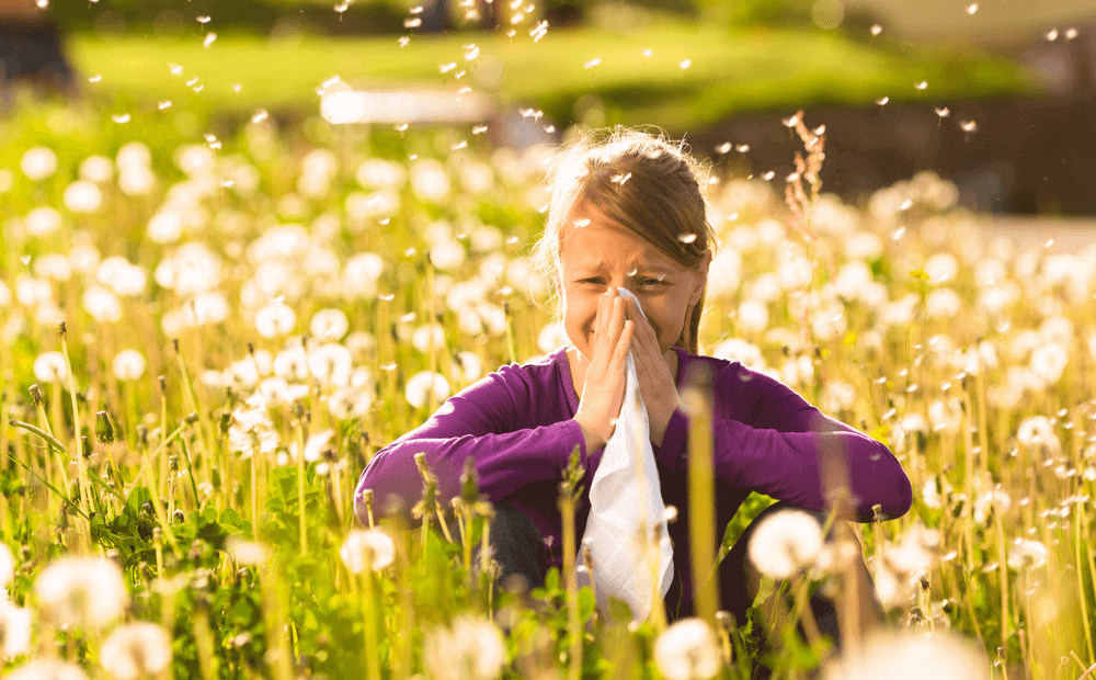 花粉症の言い方と症状と伝える英語表現